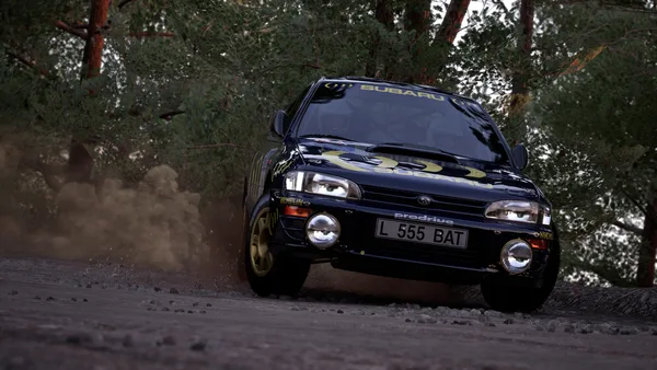 Assetto Corsa Rally screenshot 22
