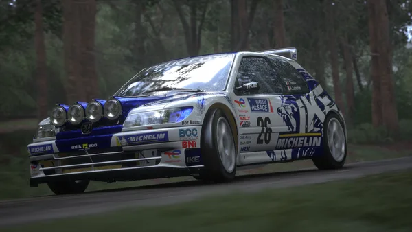 Assetto Corsa Rally screenshot 23