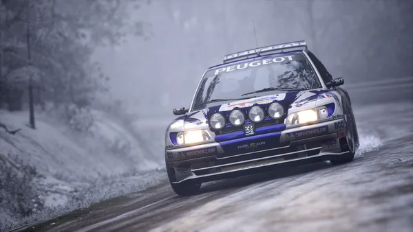 Assetto Corsa Rally screenshot 24