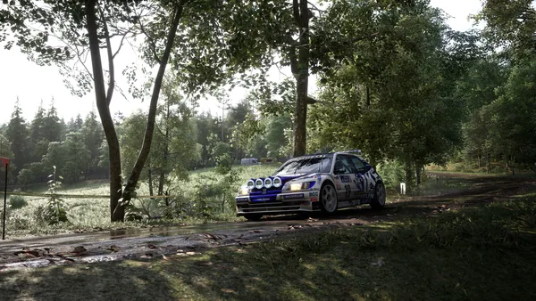 Assetto Corsa Rally screenshot 26