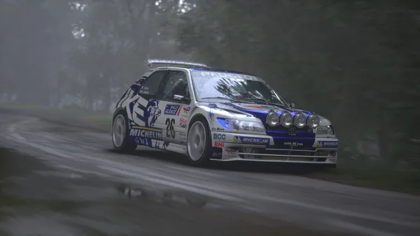 Assetto Corsa Rally screenshot 27