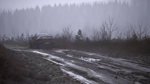 Assetto Corsa Rally screenshot 29