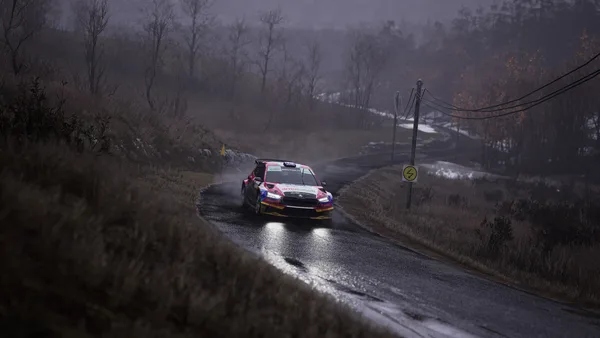 Assetto Corsa Rally screenshot 40