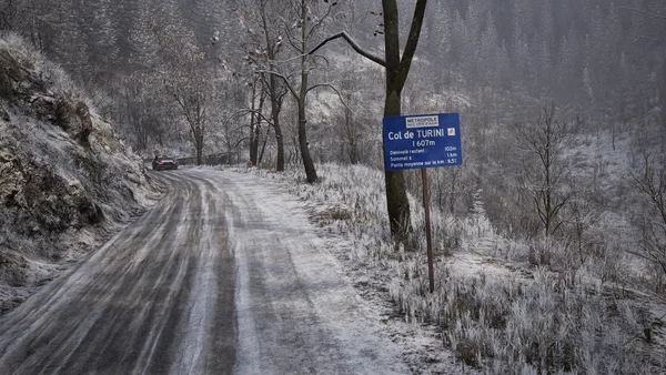 Assetto Corsa Rally screenshot 50