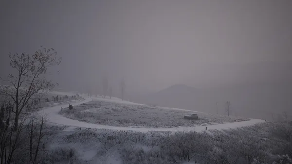 Assetto Corsa Rally screenshot 52