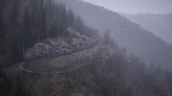Assetto Corsa Rally screenshot 55
