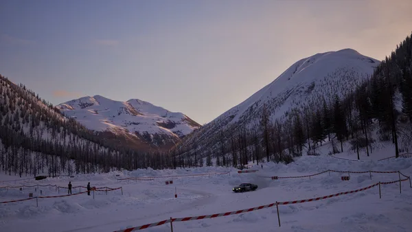 Assetto Corsa Rally screenshot 61