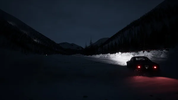 Assetto Corsa Rally screenshot 65