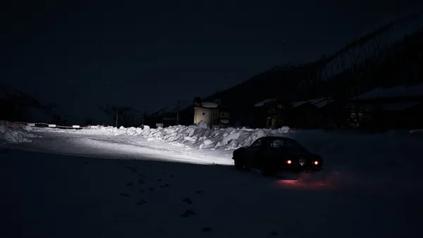 Assetto Corsa Rally screenshot 67