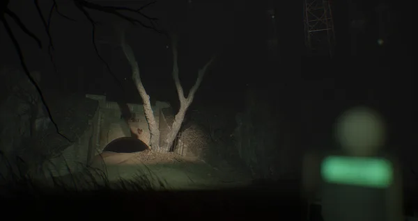 Screenshot 5 di LYSA HORA: The Haunted Hill