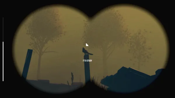 Birds Watching screenshot 2