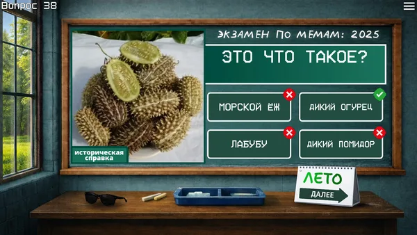 Screenshot 4 di MEME EXAM 2025