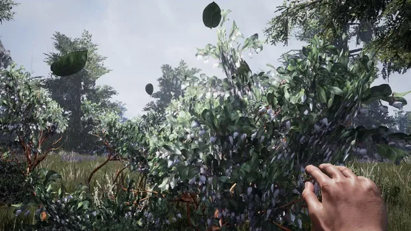 Fragmented screenshot 8