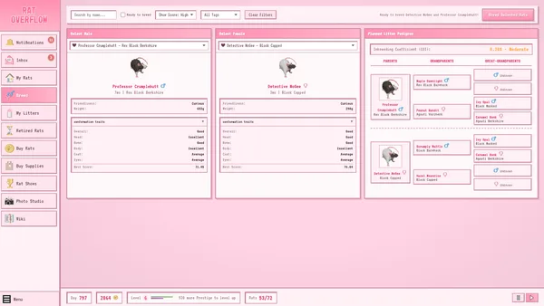Rat Overflow screenshot 2