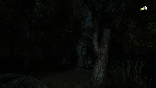The Secret of Pineview Forest screenshot 7