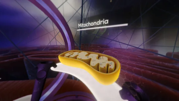 The Body VR: Journey Inside a Cell screenshot 7