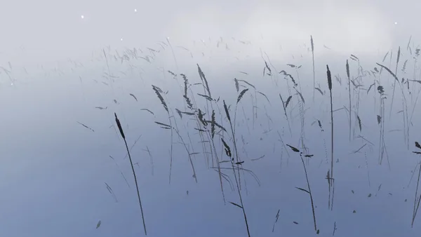 Storm VR screenshot 7