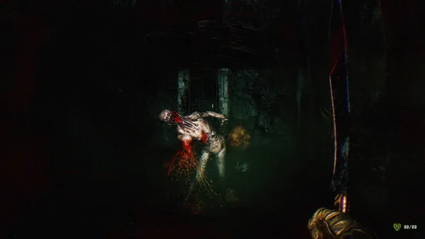 GUTTED: Infested Crypts screenshot 8