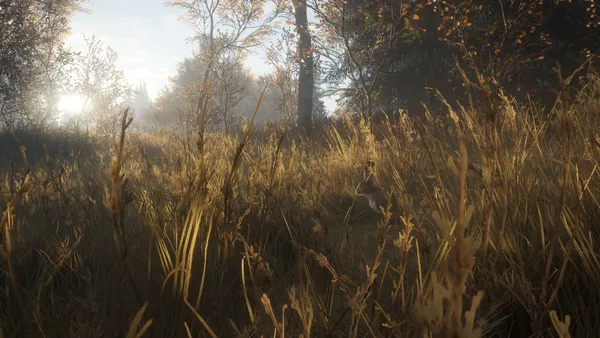 theHunter: Call of the Wild™ screenshot 7
