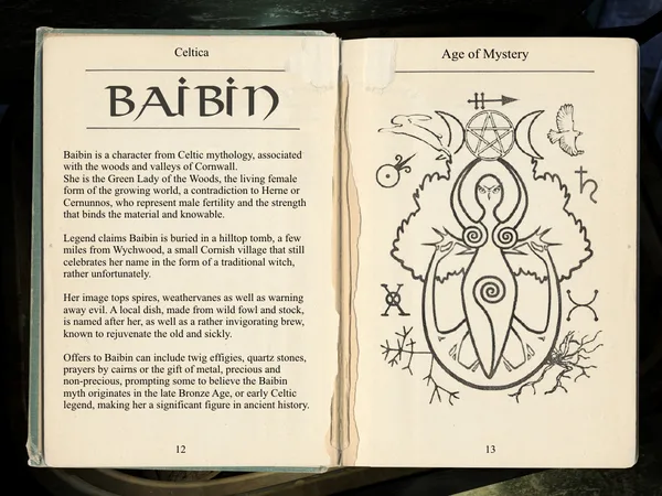 Barrow Hill: The Dark Path screenshot 13