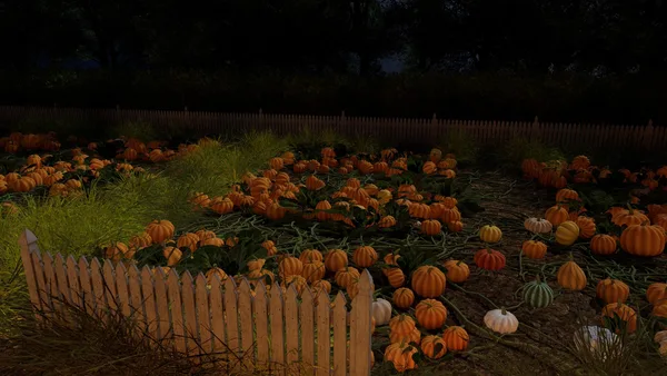 Carve and Sort: Tidy Up your Pumpkin Patch! screenshot 11