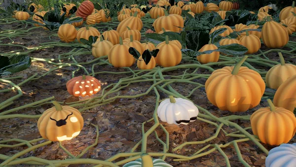 Carve and Sort: Tidy Up your Pumpkin Patch! screenshot 2