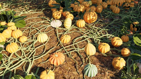 Carve and Sort: Tidy Up your Pumpkin Patch! screenshot 4