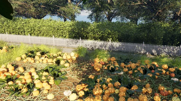 Carve and Sort: Tidy Up your Pumpkin Patch! screenshot 7
