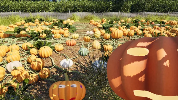 Carve and Sort: Tidy Up your Pumpkin Patch! screenshot 9