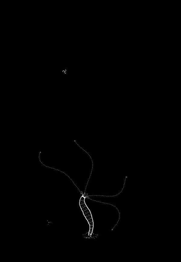 Plankton screenshot 6