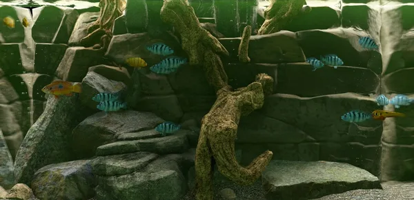 Biotope screenshot 3