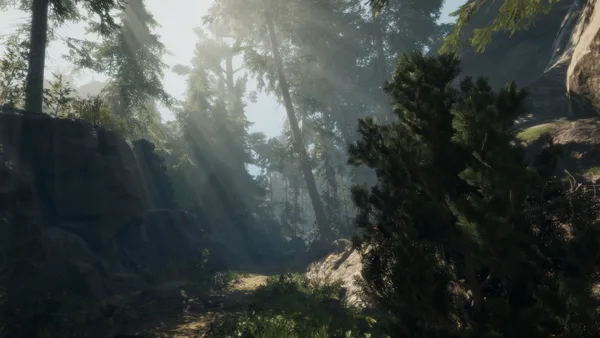 A Walk in the Woods screenshot 1