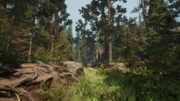 A Walk in the Woods screenshot 4