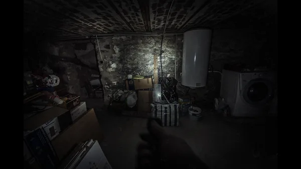The Fan screenshot 5