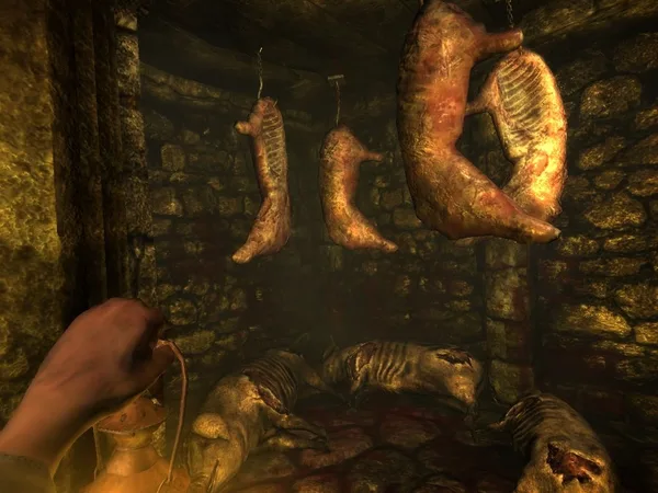 Screenshot 2 di Amnesia: The Dark Descent