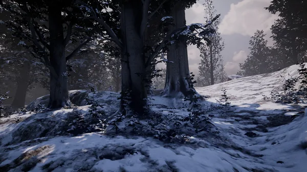 Nephise screenshot 9