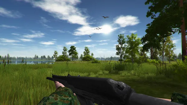Duck Hunting screenshot 5