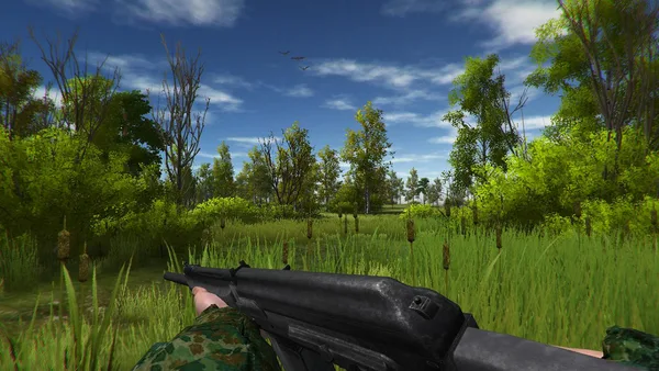 Duck Hunting screenshot 6