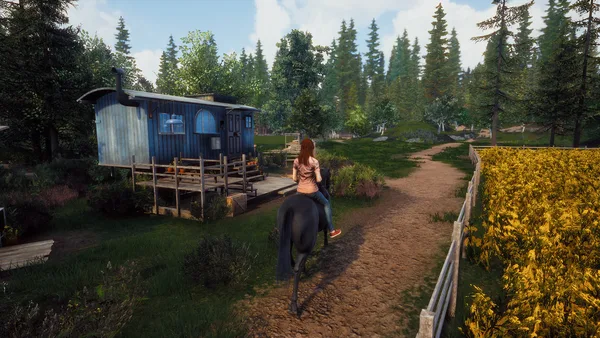 Windstorm: Start of a Great Friendship screenshot 4