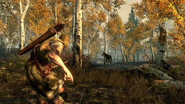 The Elder Scrolls V: Skyrim screenshot 5