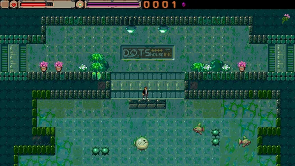 External Visions screenshot 2