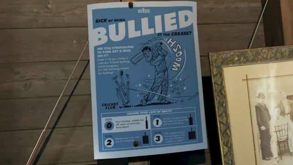 Cricket Club screenshot 9