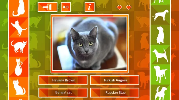 JQ: dogs & cats screenshot 5