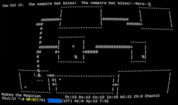 NetHack: Legacy screenshot 3