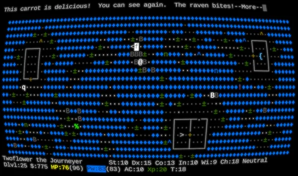 NetHack: Legacy screenshot 5