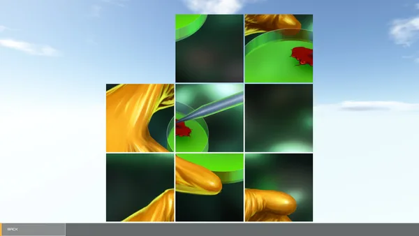 Dinosaur Hunt Puzzle screenshot 1