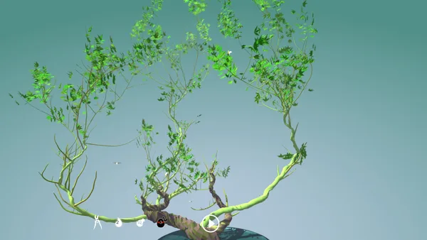 Tree Bonsai screenshot 40