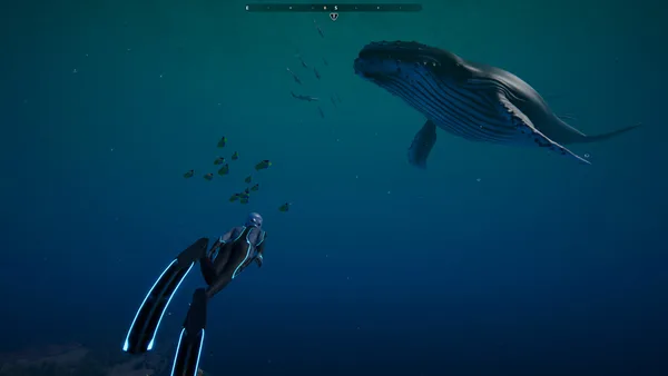 Beyond Blue screenshot 16