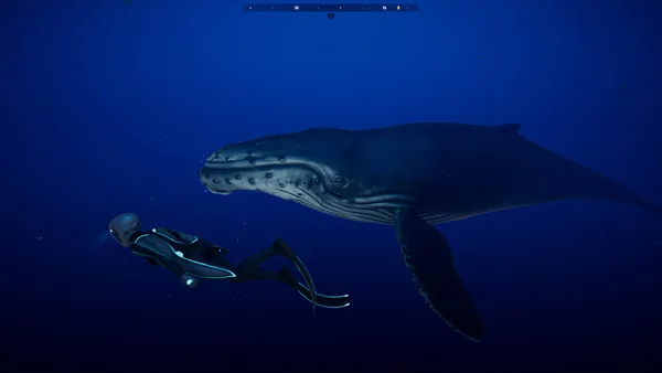 Beyond Blue screenshot 18