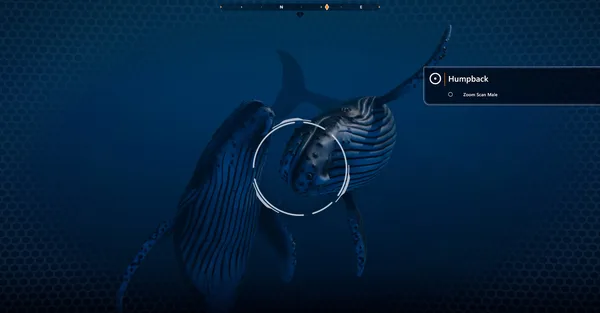 Beyond Blue screenshot 9